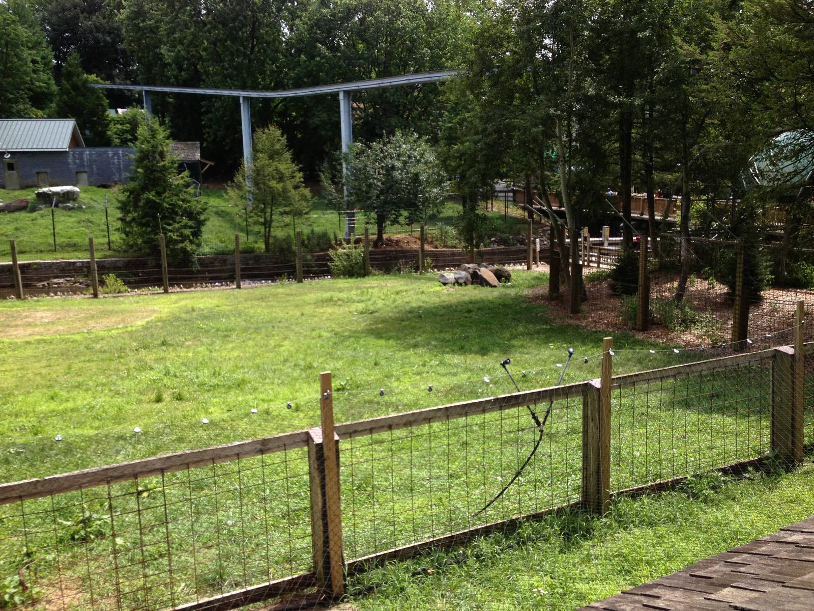 Big Sky Country- Sandhill Crane Exhibit