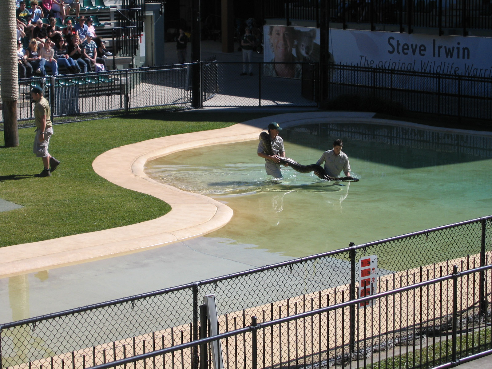 Big snake - Jul 2007