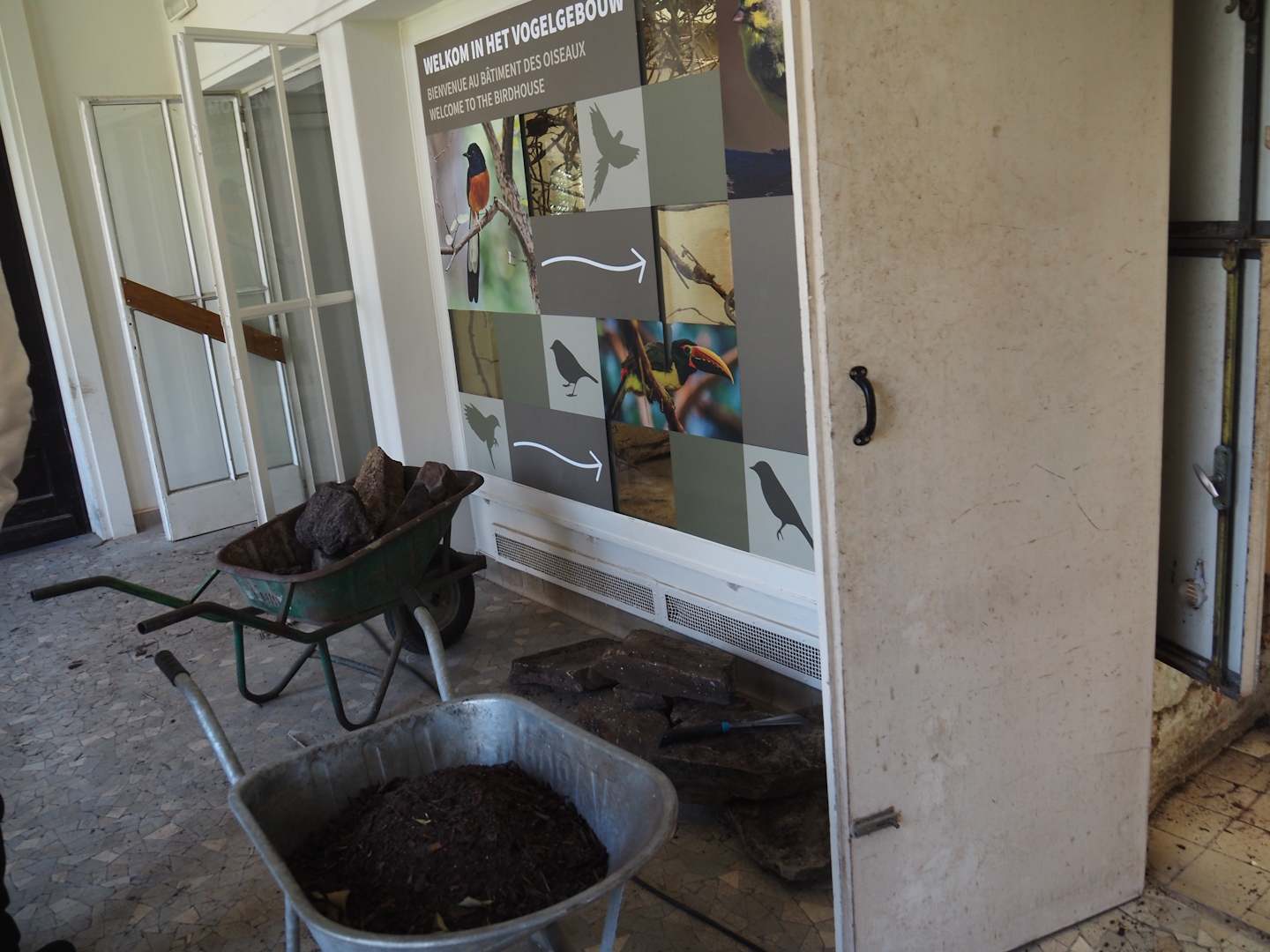 Big spring cleaning in the bird house, 2025-03-16