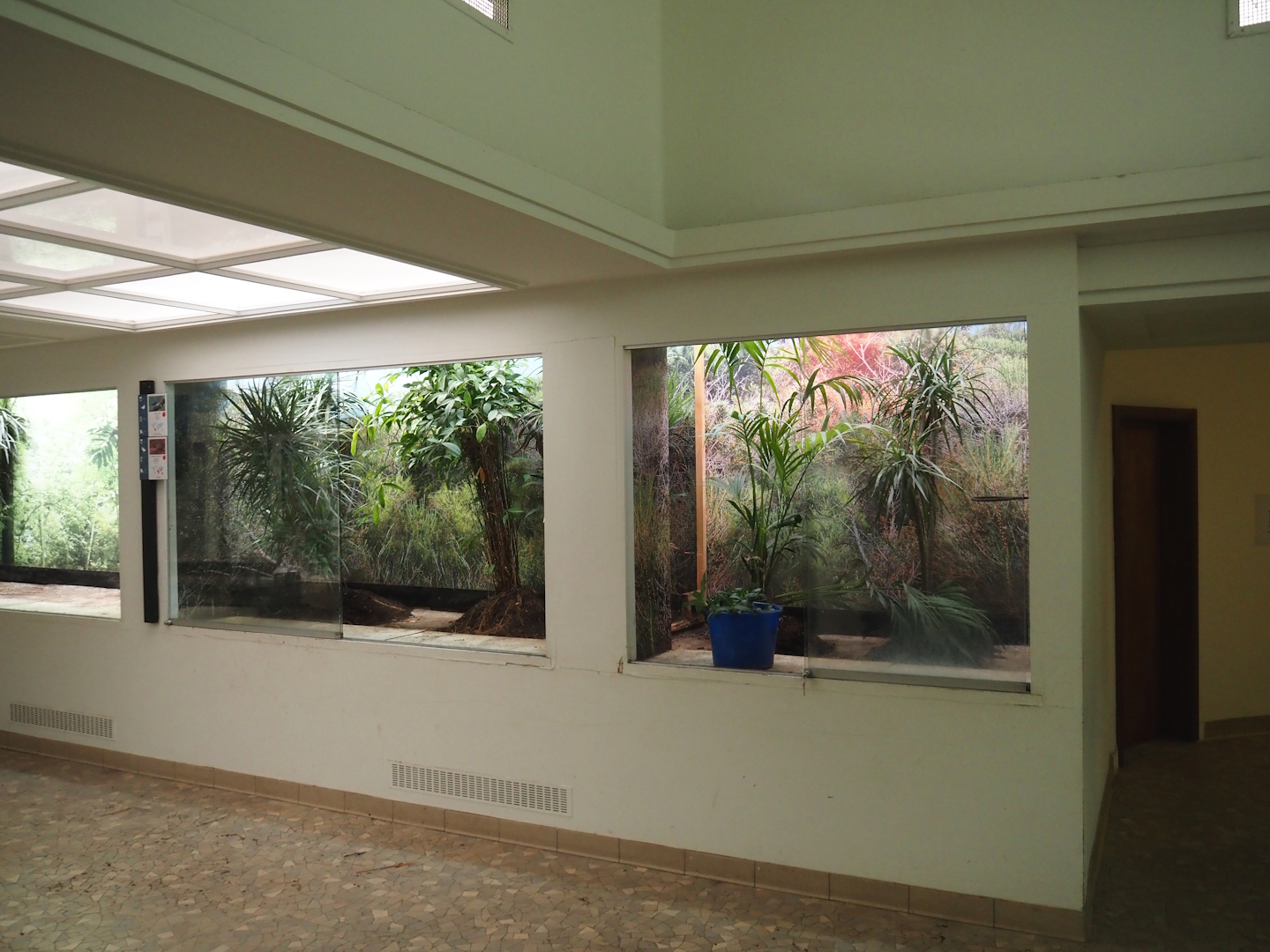 Big spring cleaning in the bird house (Dacnis aviary), 2025-03-16