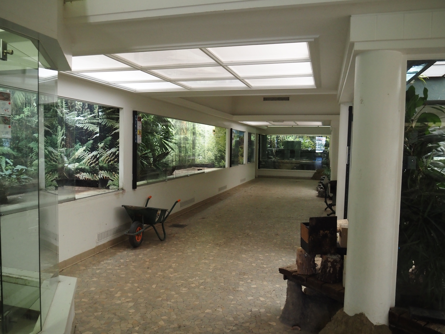 Big spring cleaning in the bird house (Overview of the aviary room), 2025-03-16