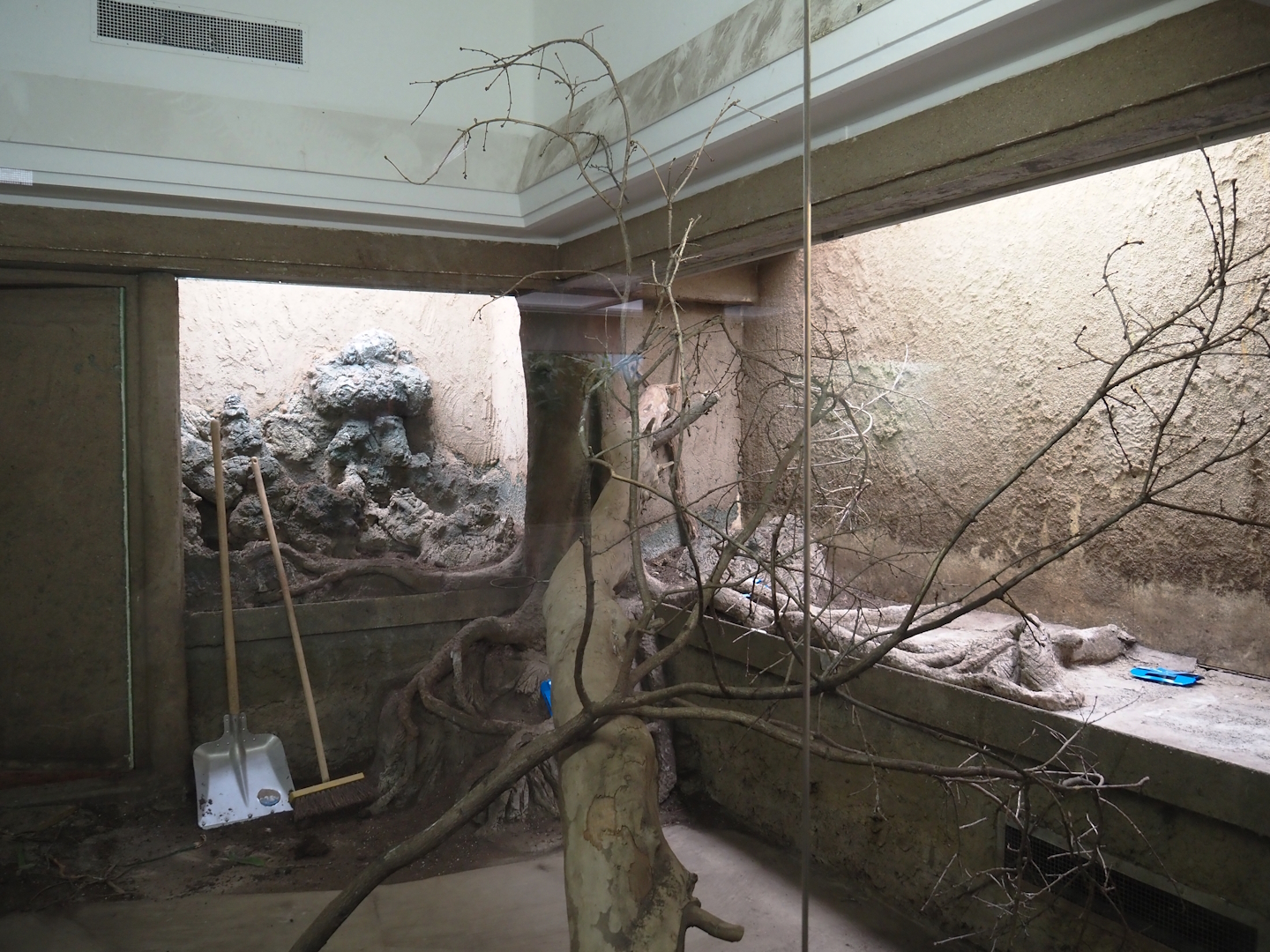 Big spring cleaning in the bird house (Part of Asian aviary), 2025-03-16