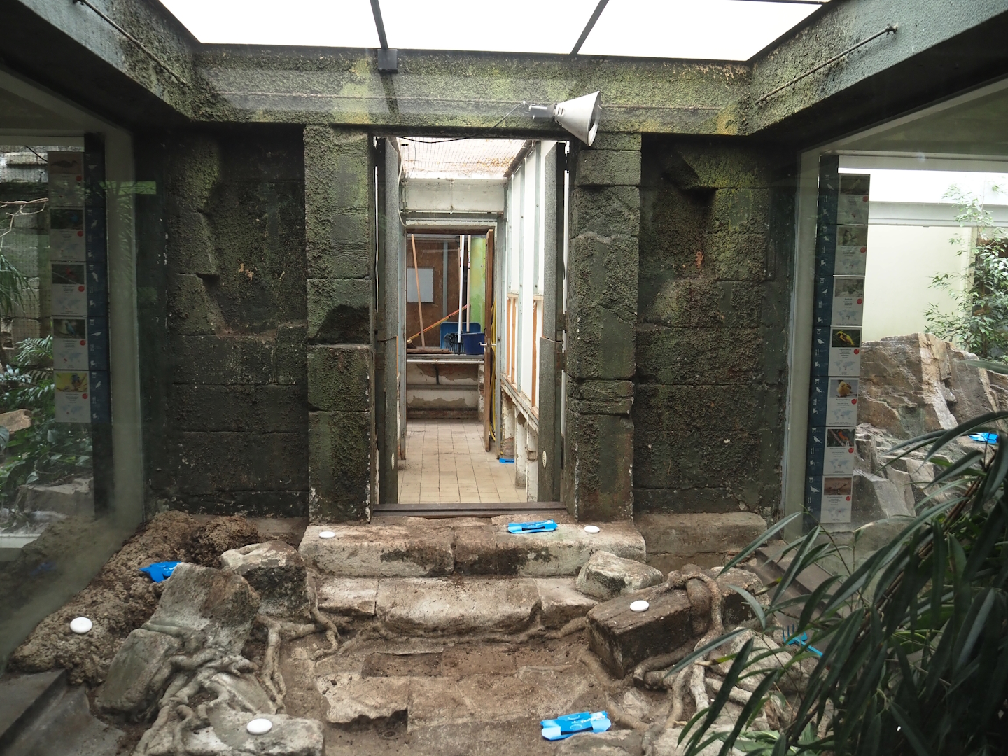 Big spring cleaning in the bird house (Tanager aviary and off-show area), 2025-03-16