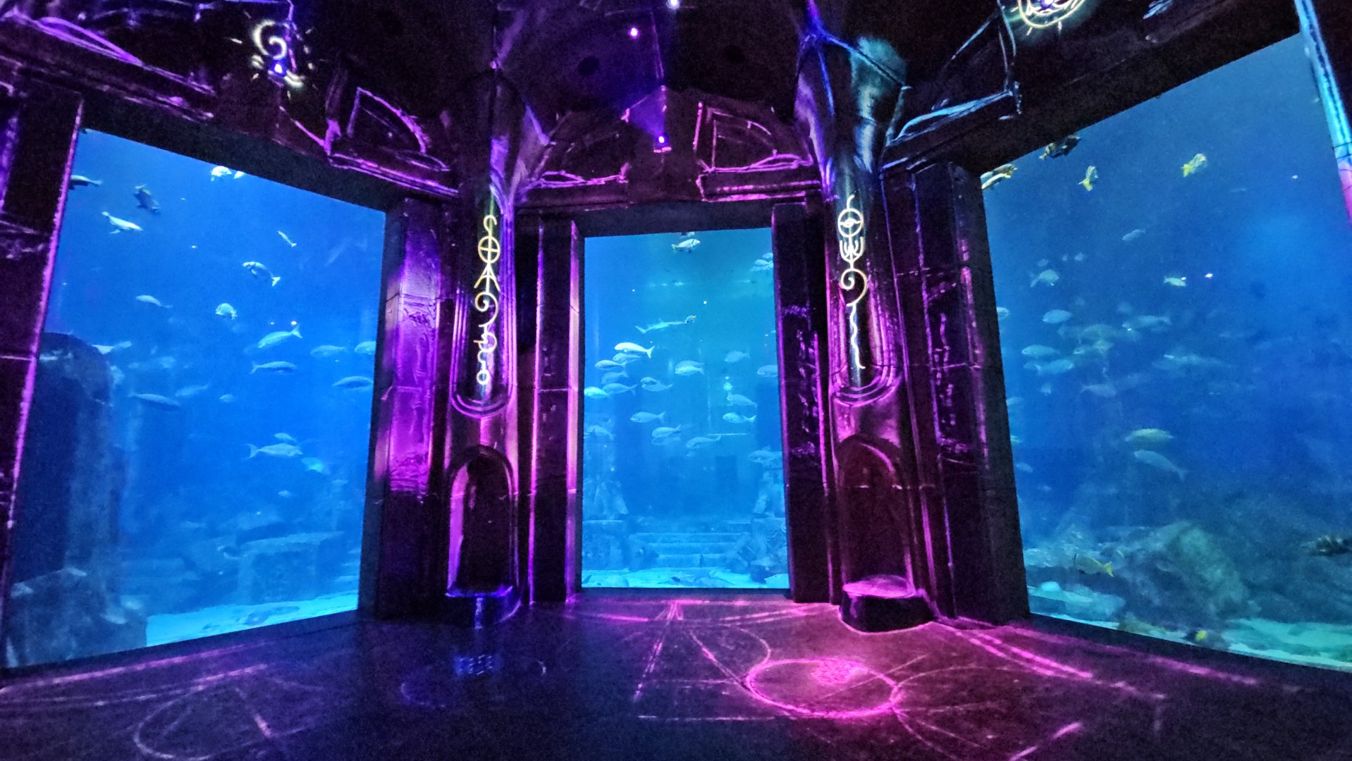 Big tank viewing windows