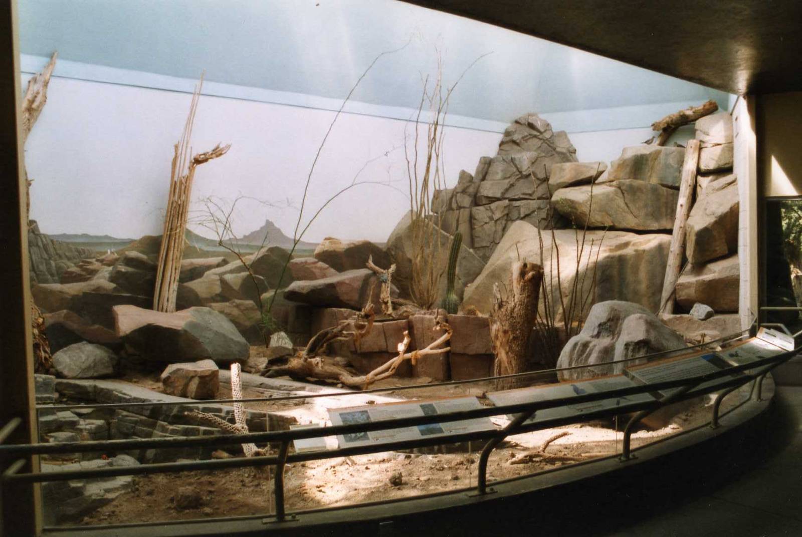 Big Terrarium for Desert Reptiles