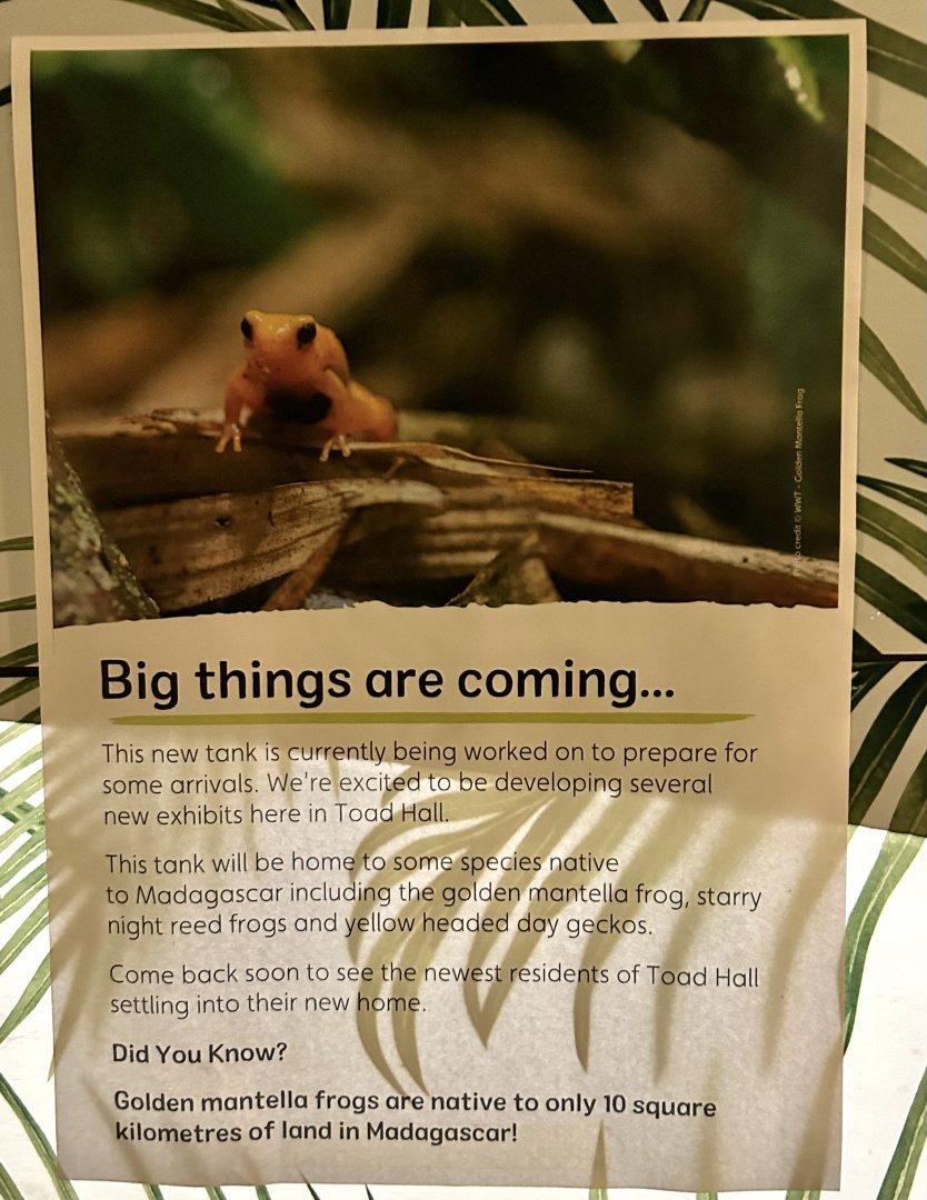 Big things are coming…