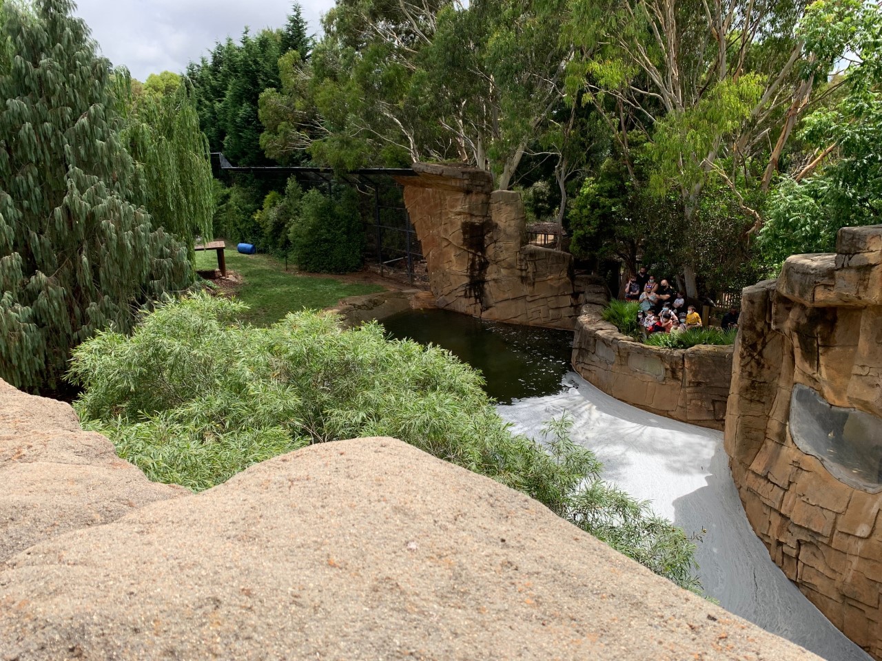 Big Tiger Territory Exhibit