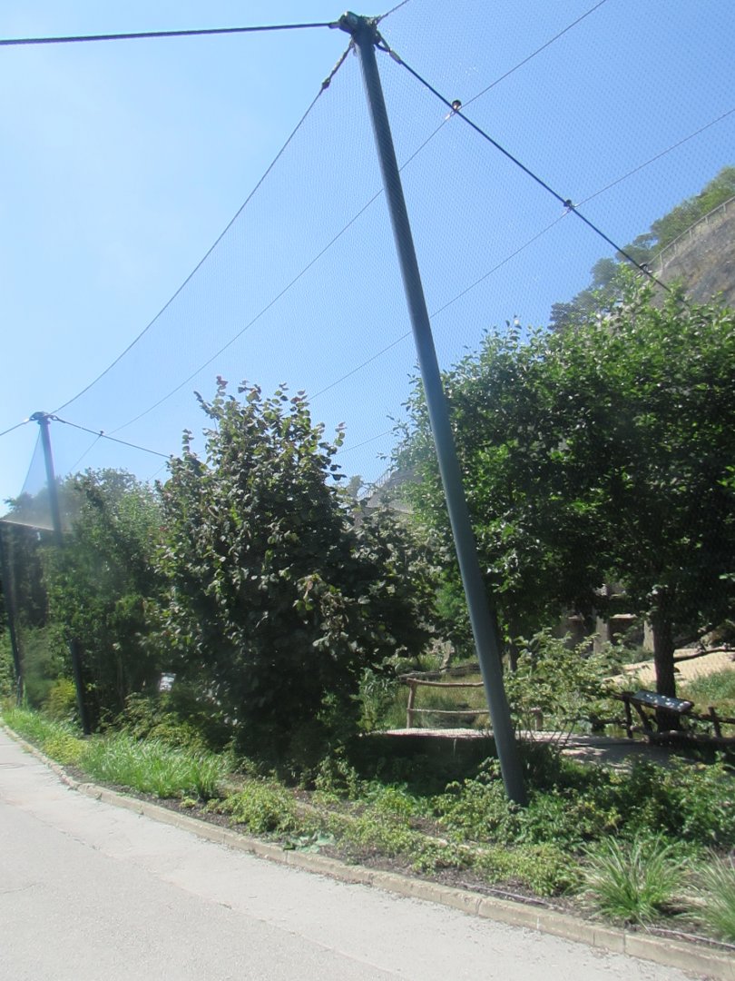 Big walktrough aviary - July/2017