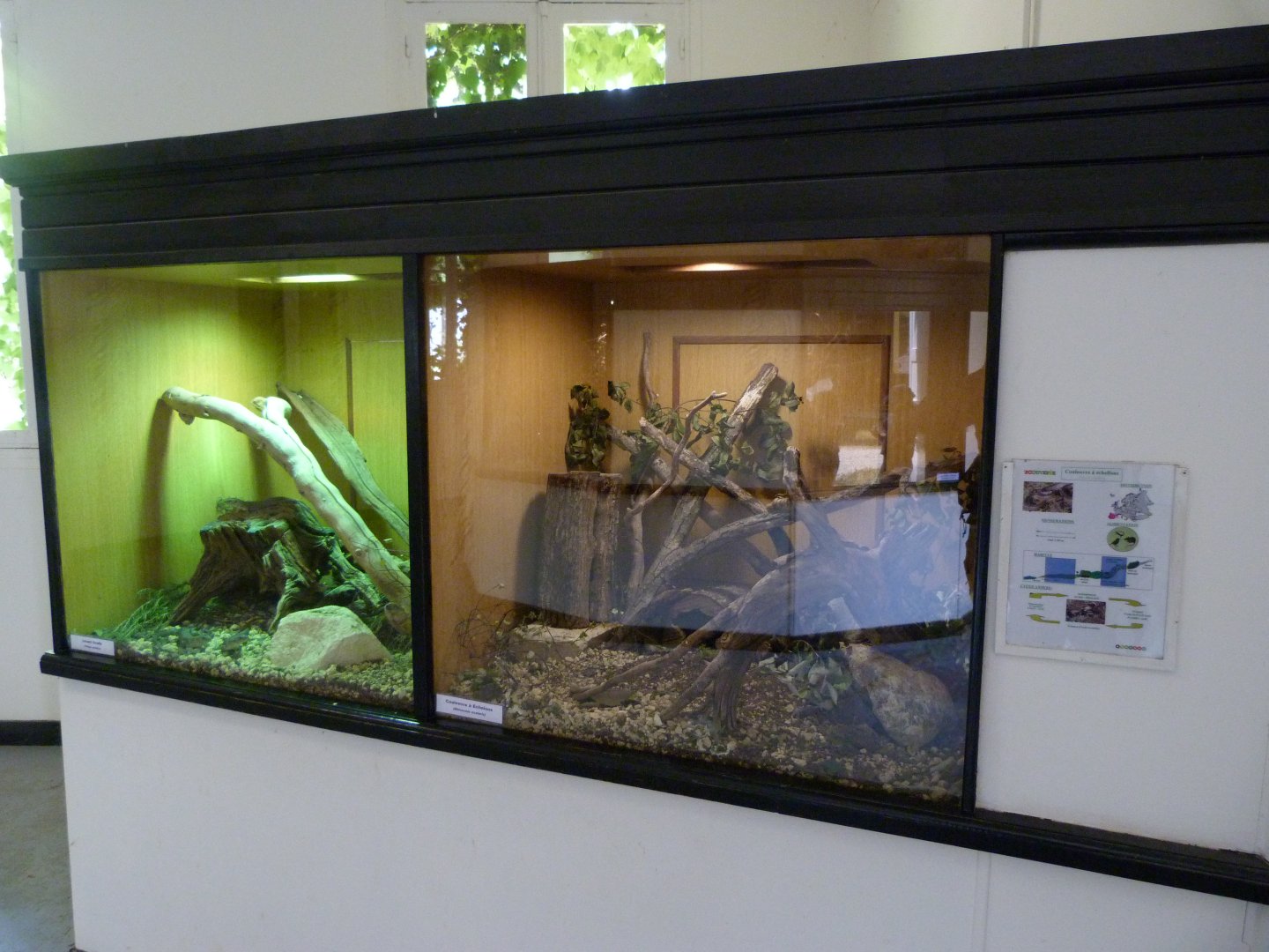 Bigger terrariums in the Vivarium -Zoodyssée (2025)