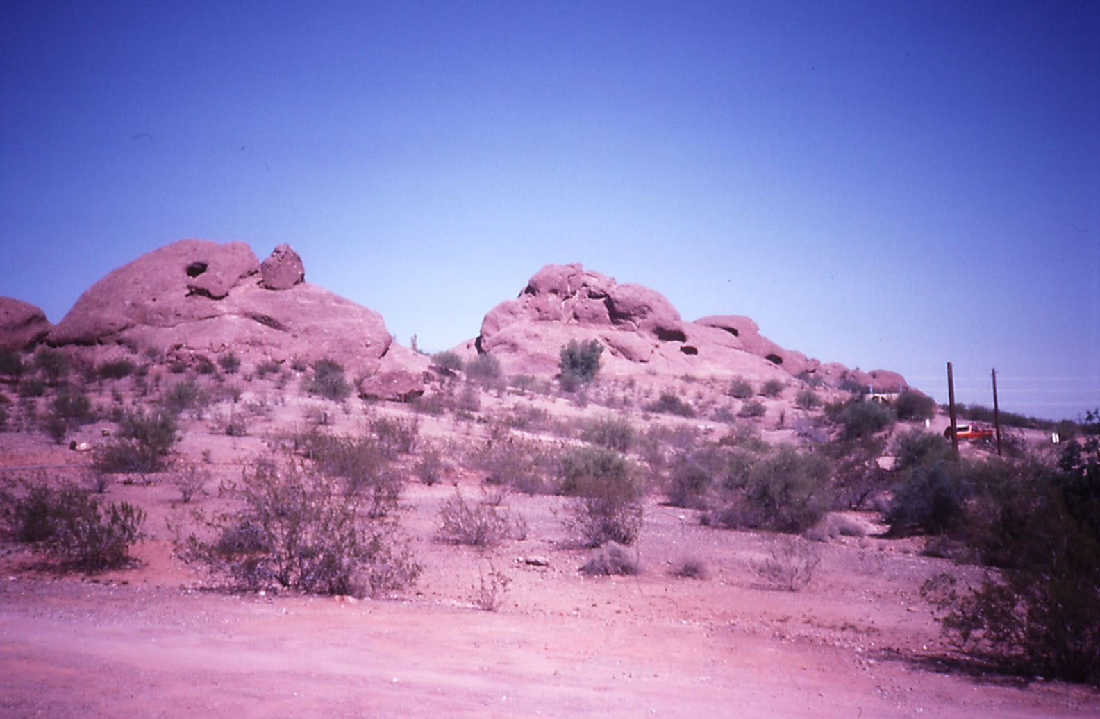 Bighorn enclosure - 1988