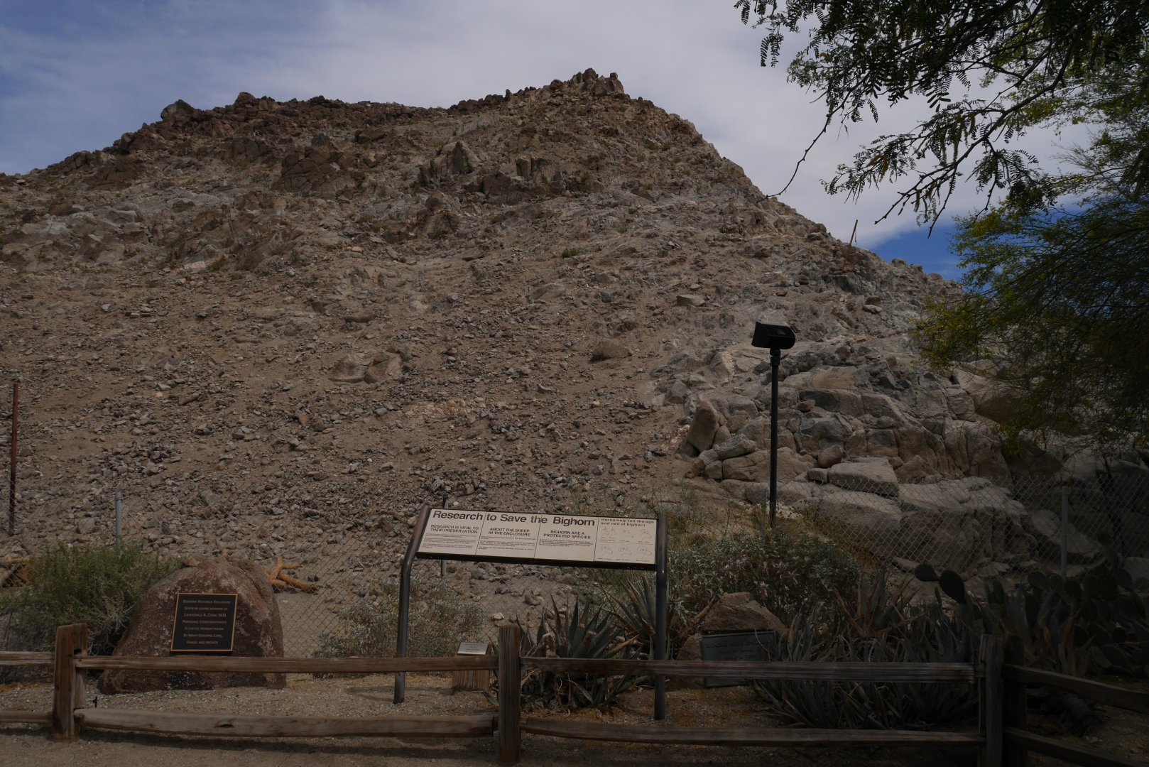 Bighorn Mountain - My First US Zoo Trip