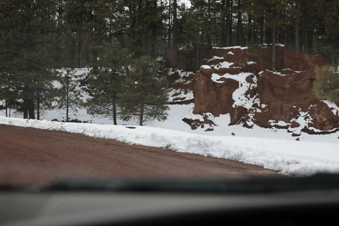 bighorn sheep drive-thru