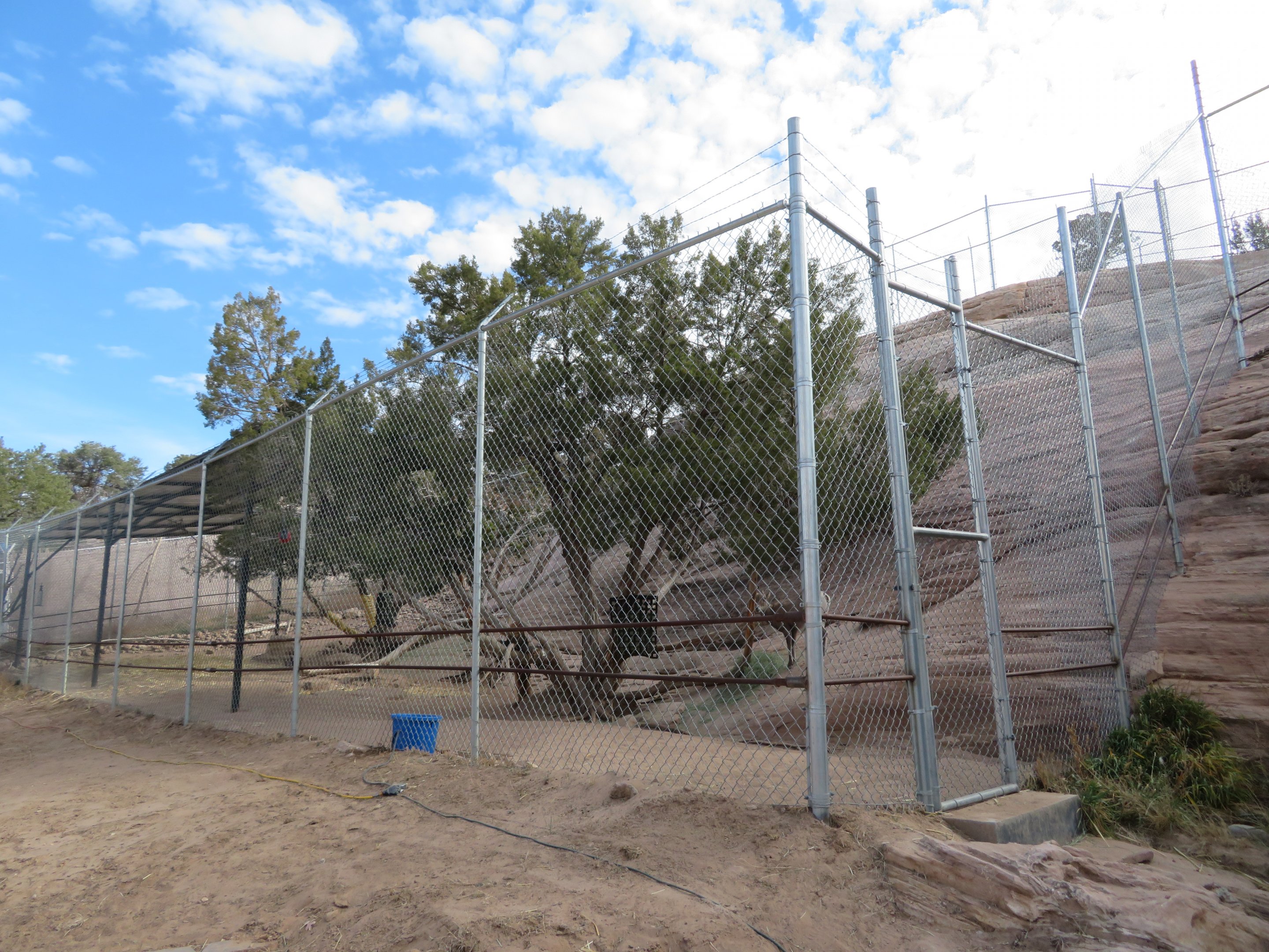 Bighorn Sheep Enclosure