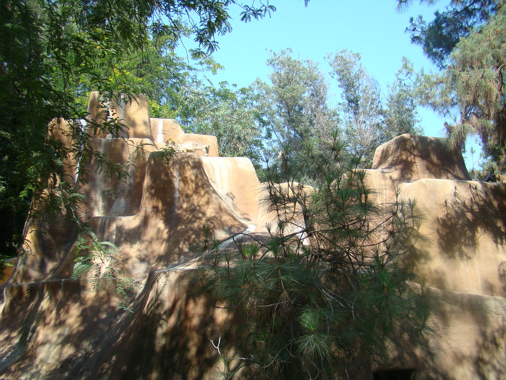Bighorn Sheep exhibit at the Los Angeles Zoo