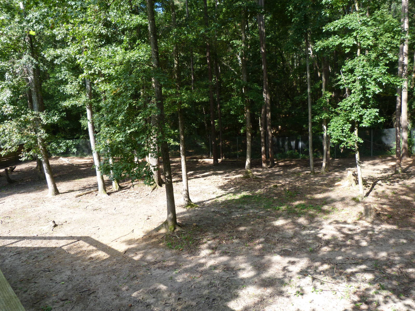 Bighorn Sheep Exhibit (Partial View) - August 2014