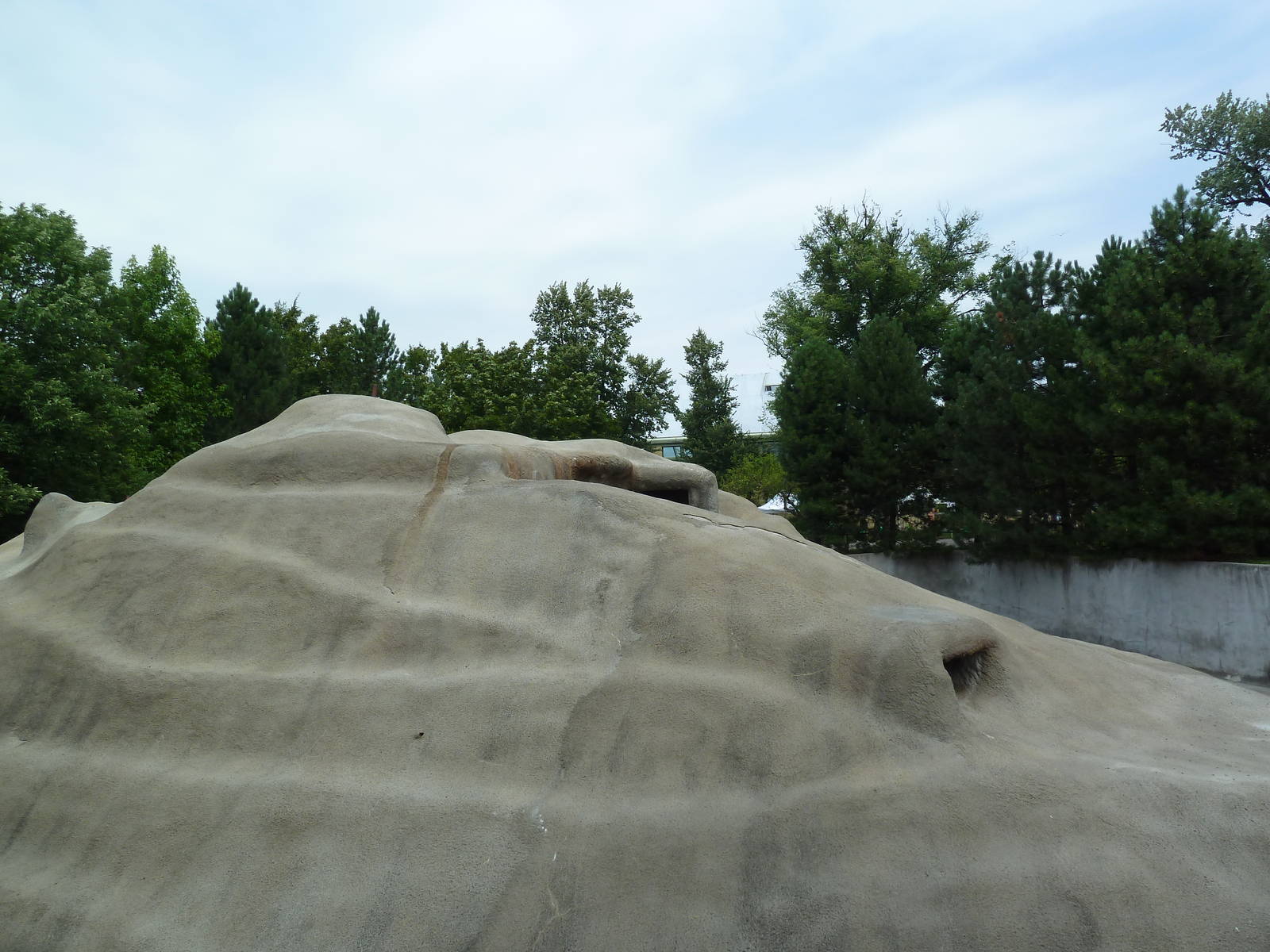 Bighorn Sheep Exhibit