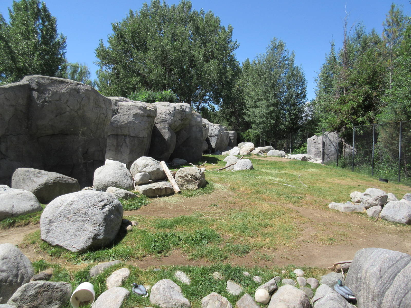 Bighorn Sheep Exhibit