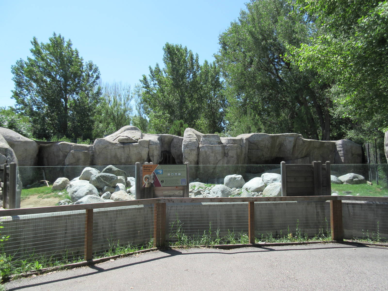 Bighorn Sheep Exhibit