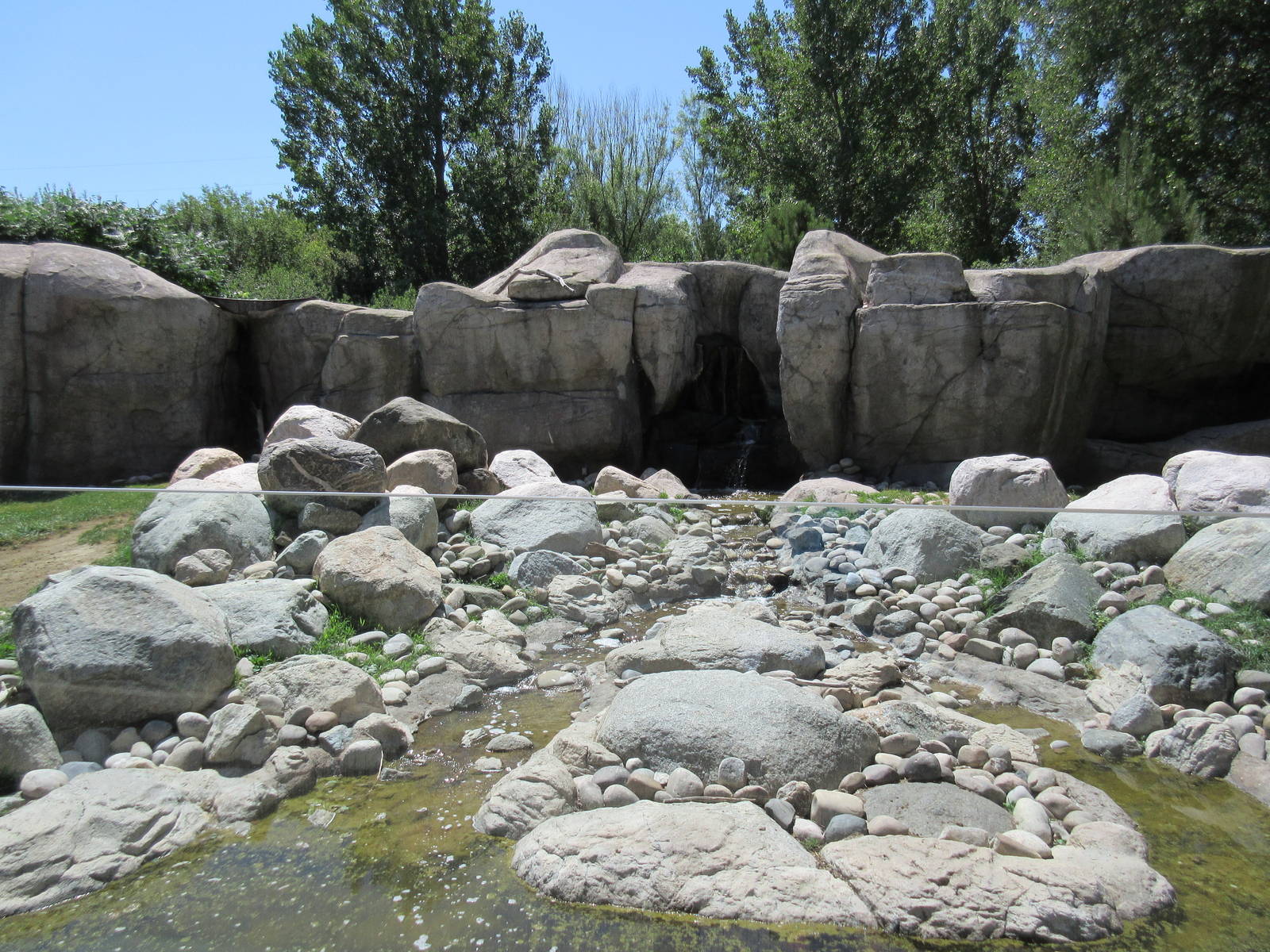 Bighorn Sheep Exhibit