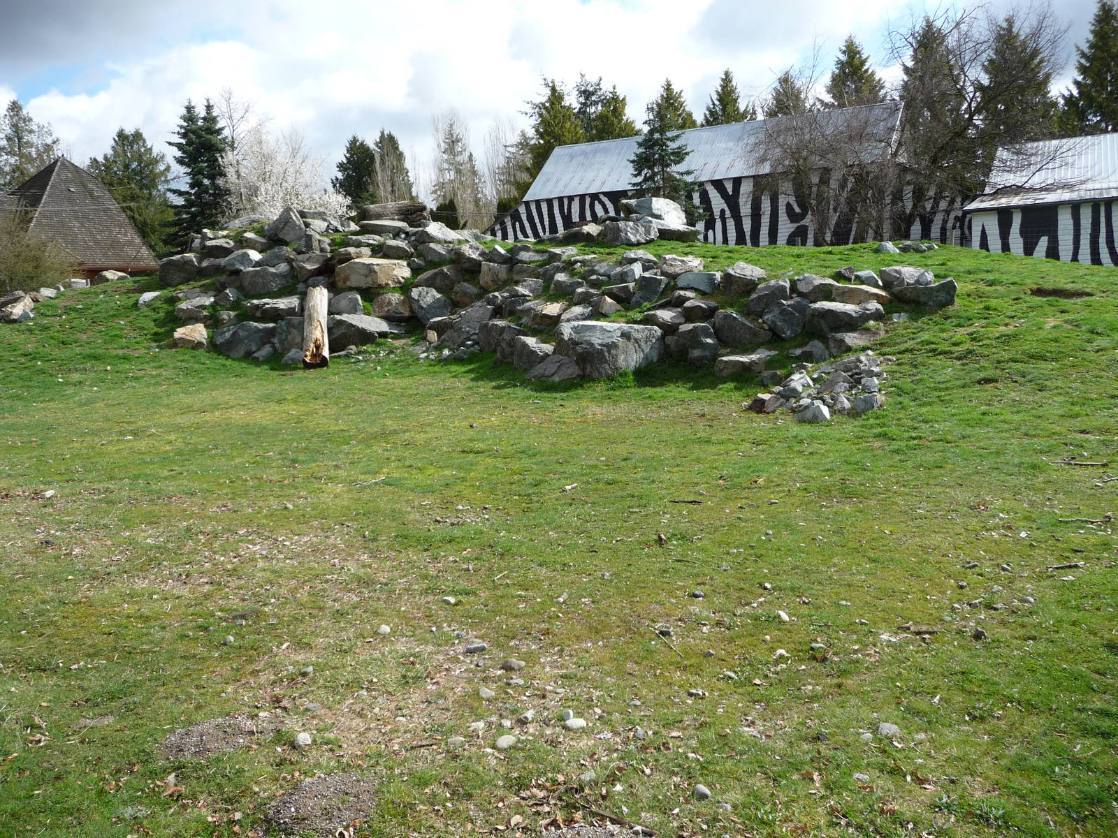 Bighorn Sheep Exhibit