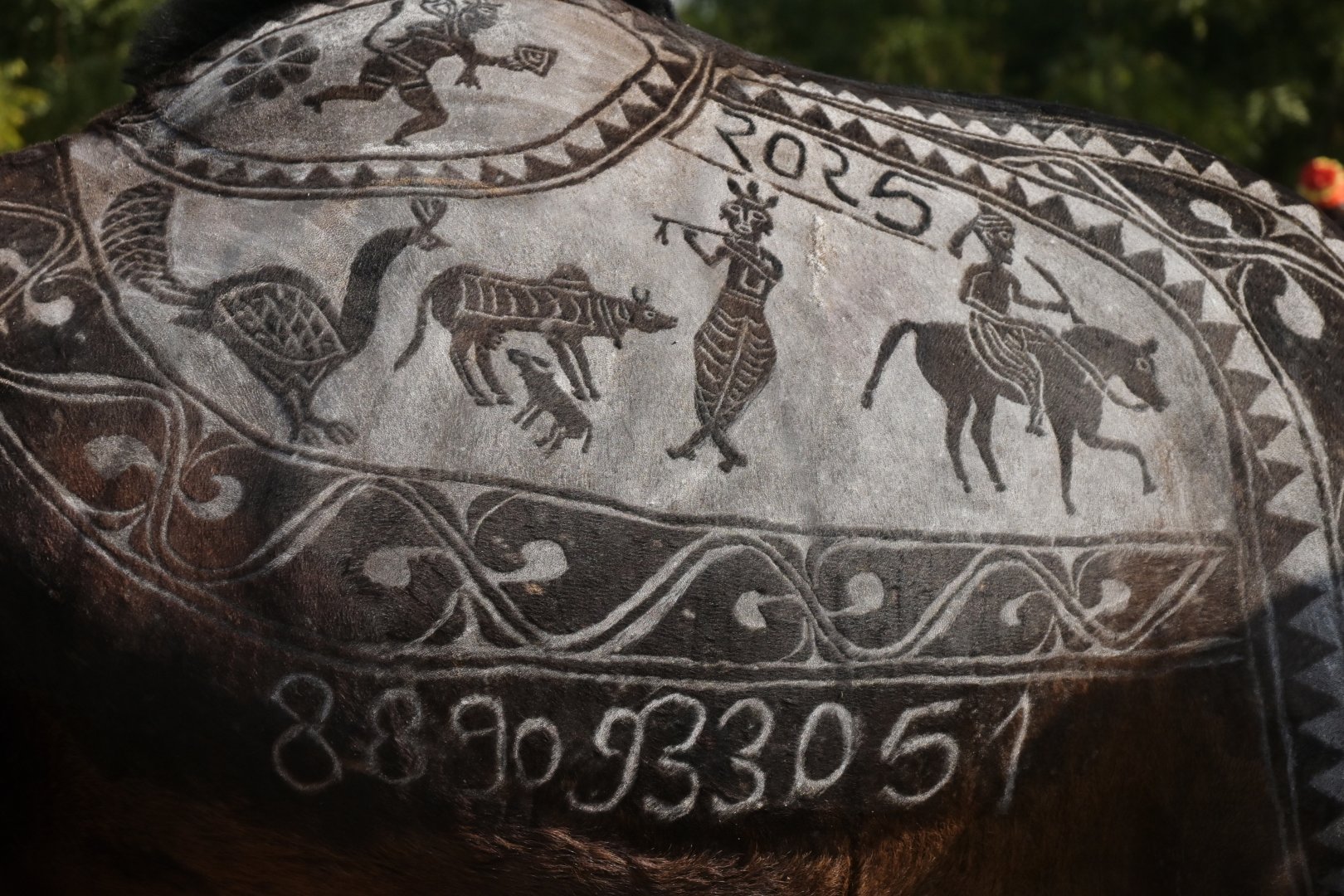 Bikaner Camel Festival