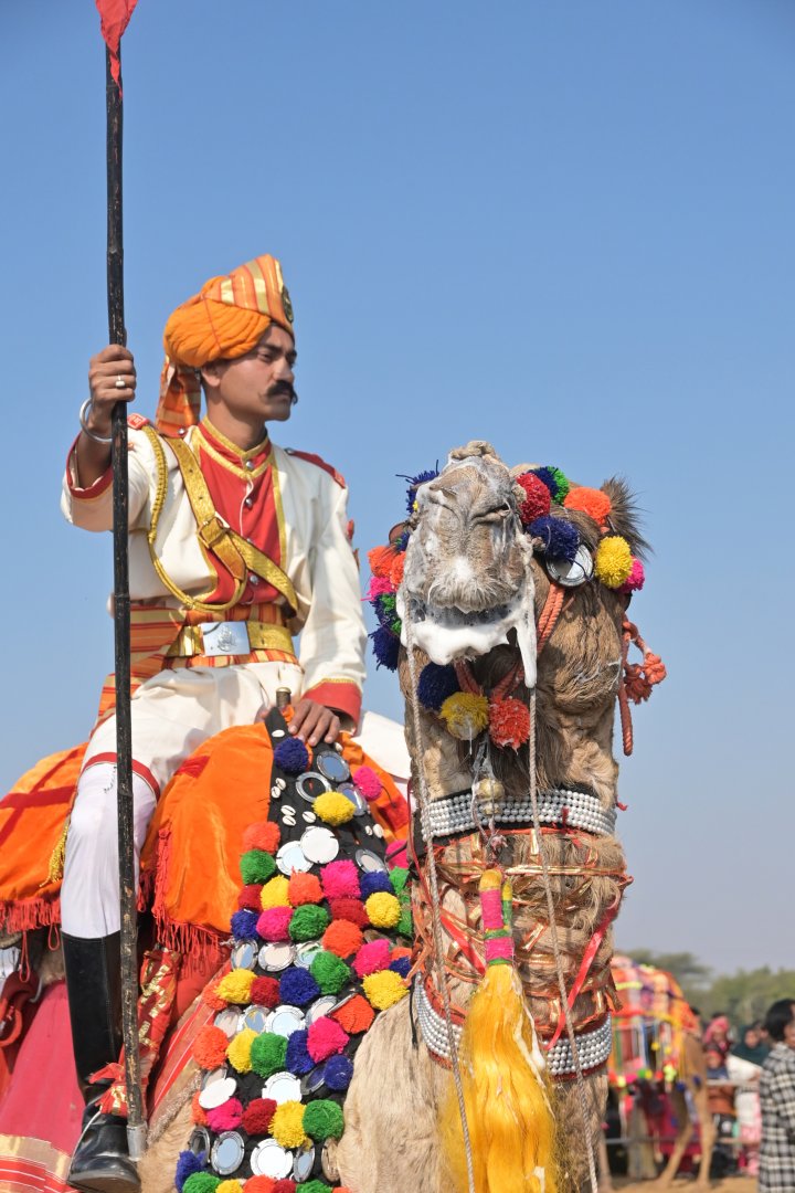 Bikaner Camel Festival