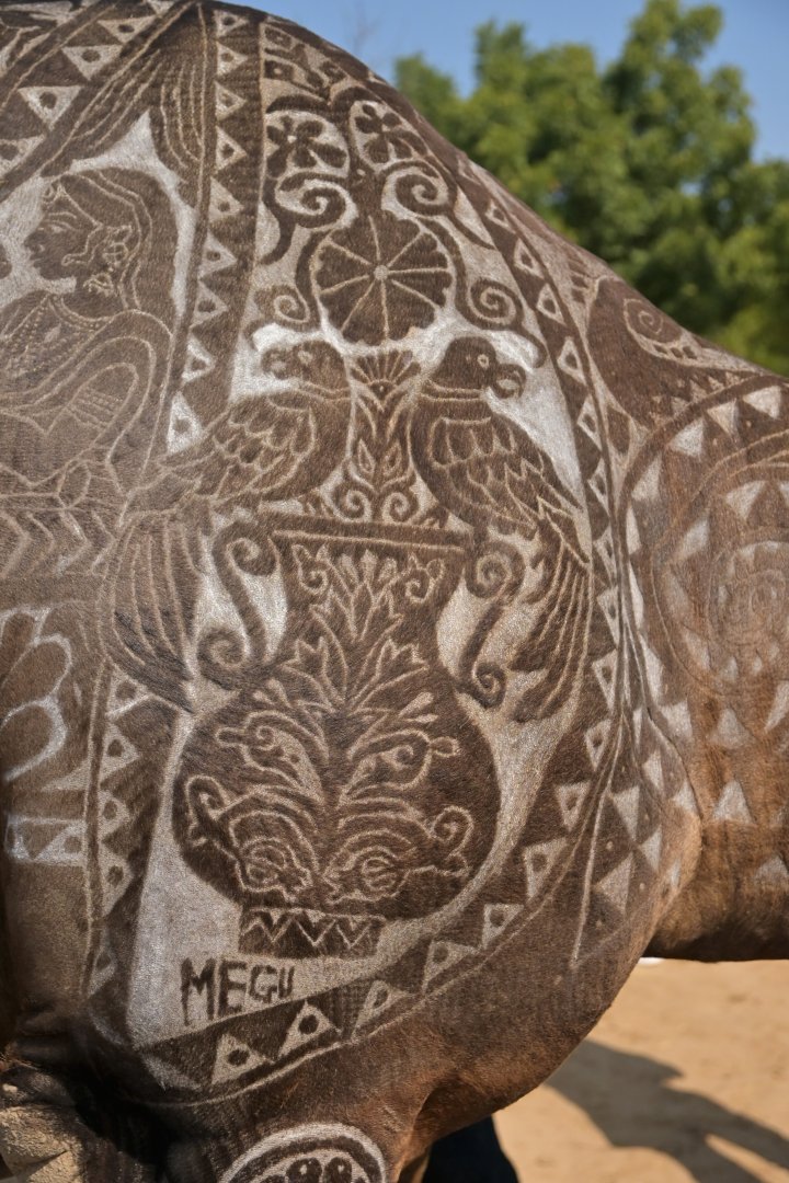 Bikaner Camel Festival