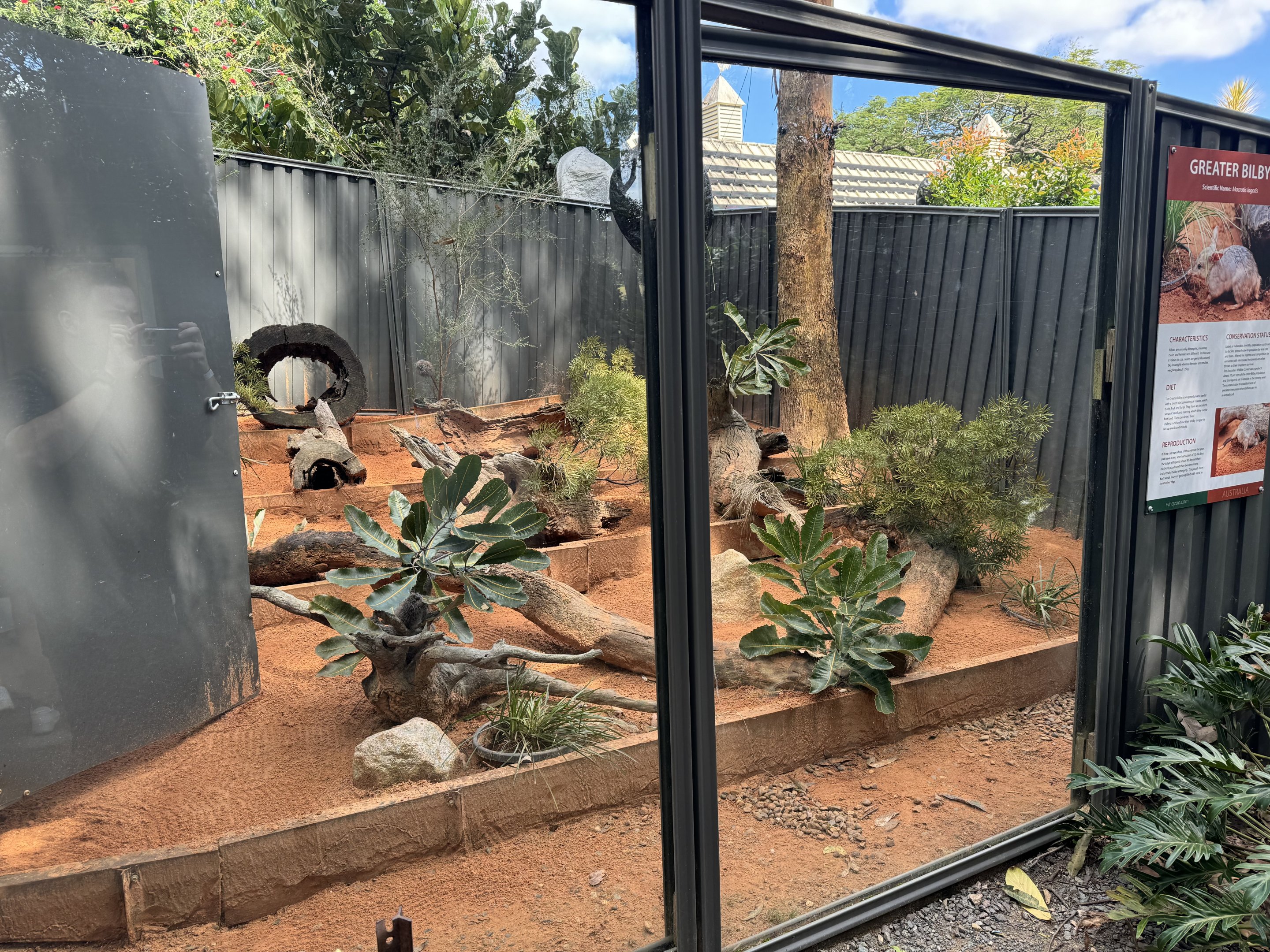 Bilby enclosure