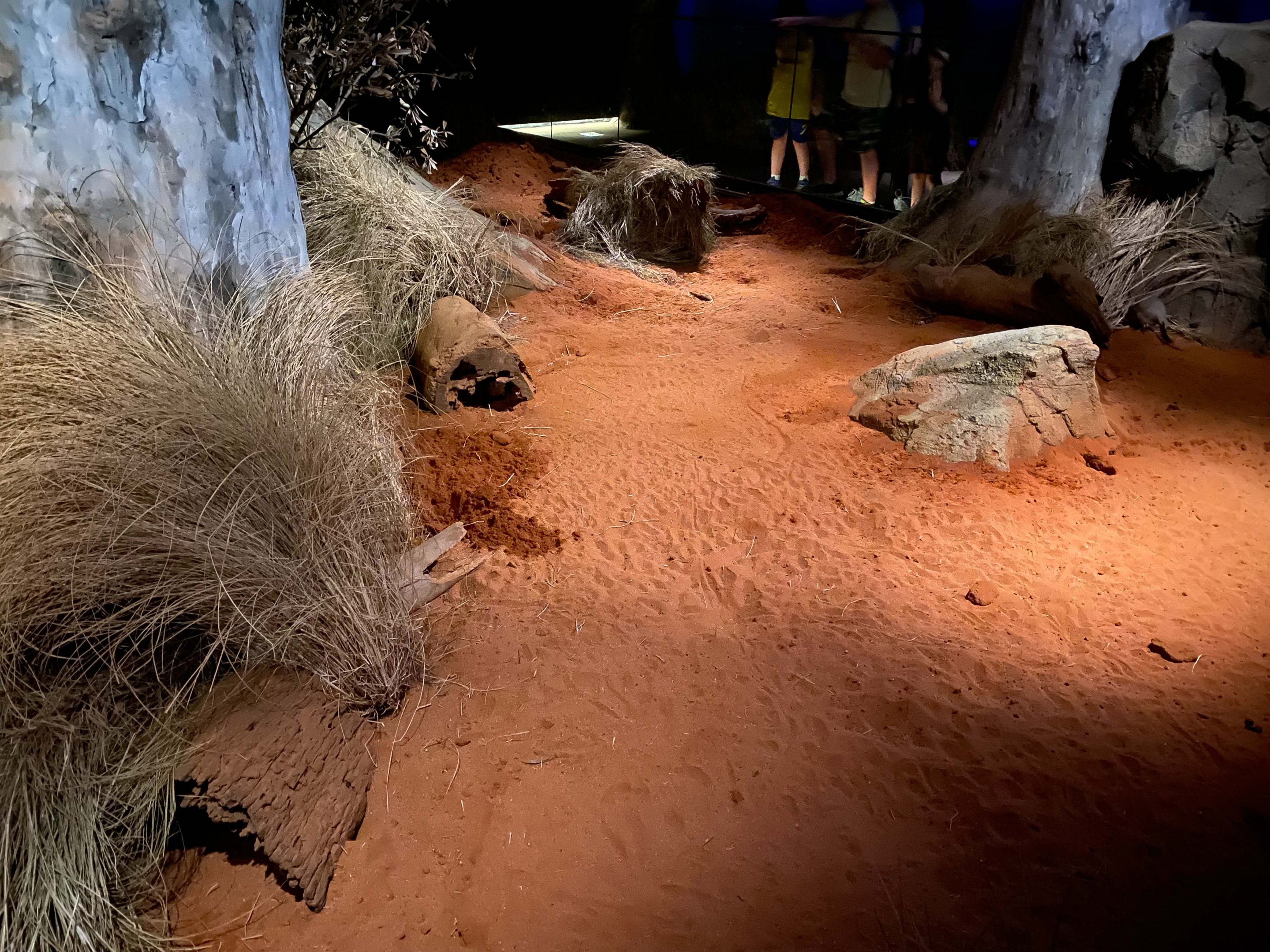 Bilby Exhibit