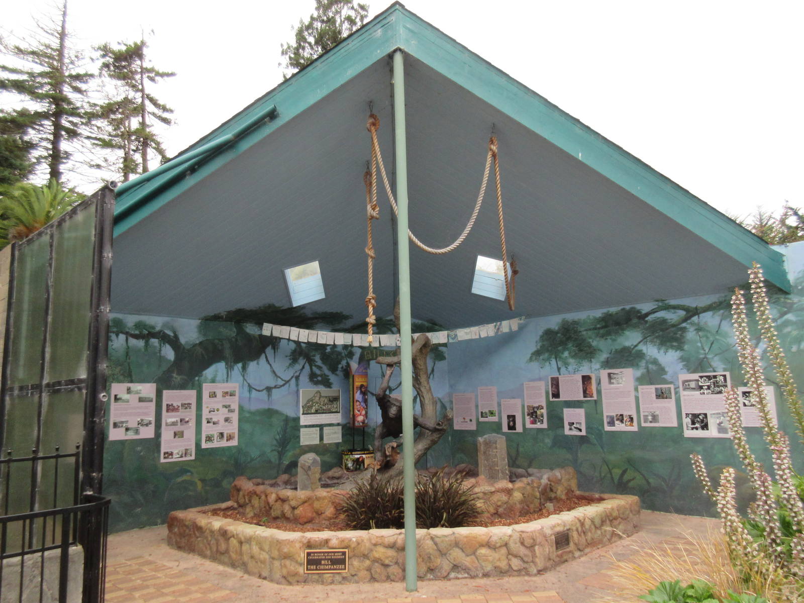 Bill the Chimpanzee Memorial (the zoo's most celebrated resident)