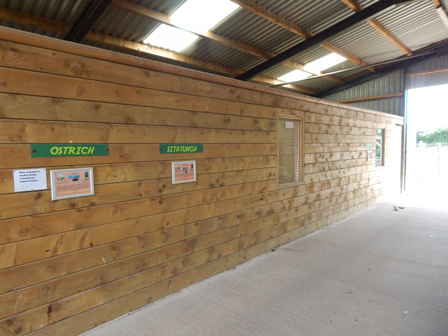 Bill's Barn - indoors 060625