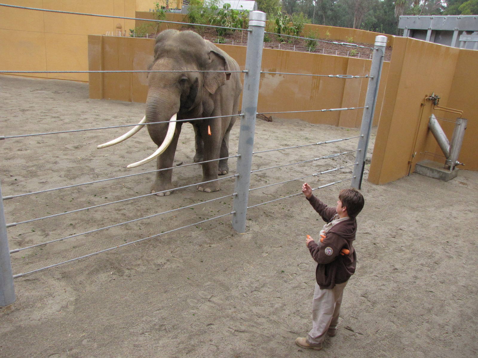 Billy And Keeper - December 17, 2010