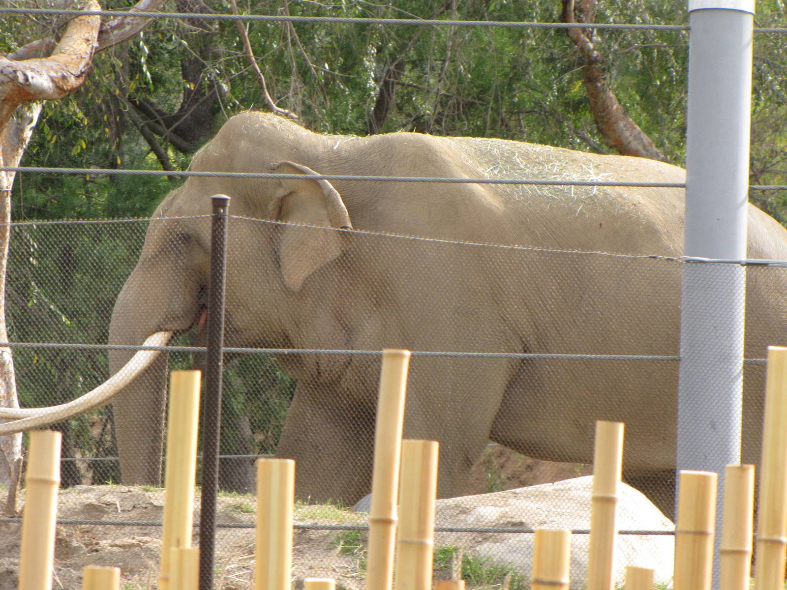 Billy Cruising Around His New Space
