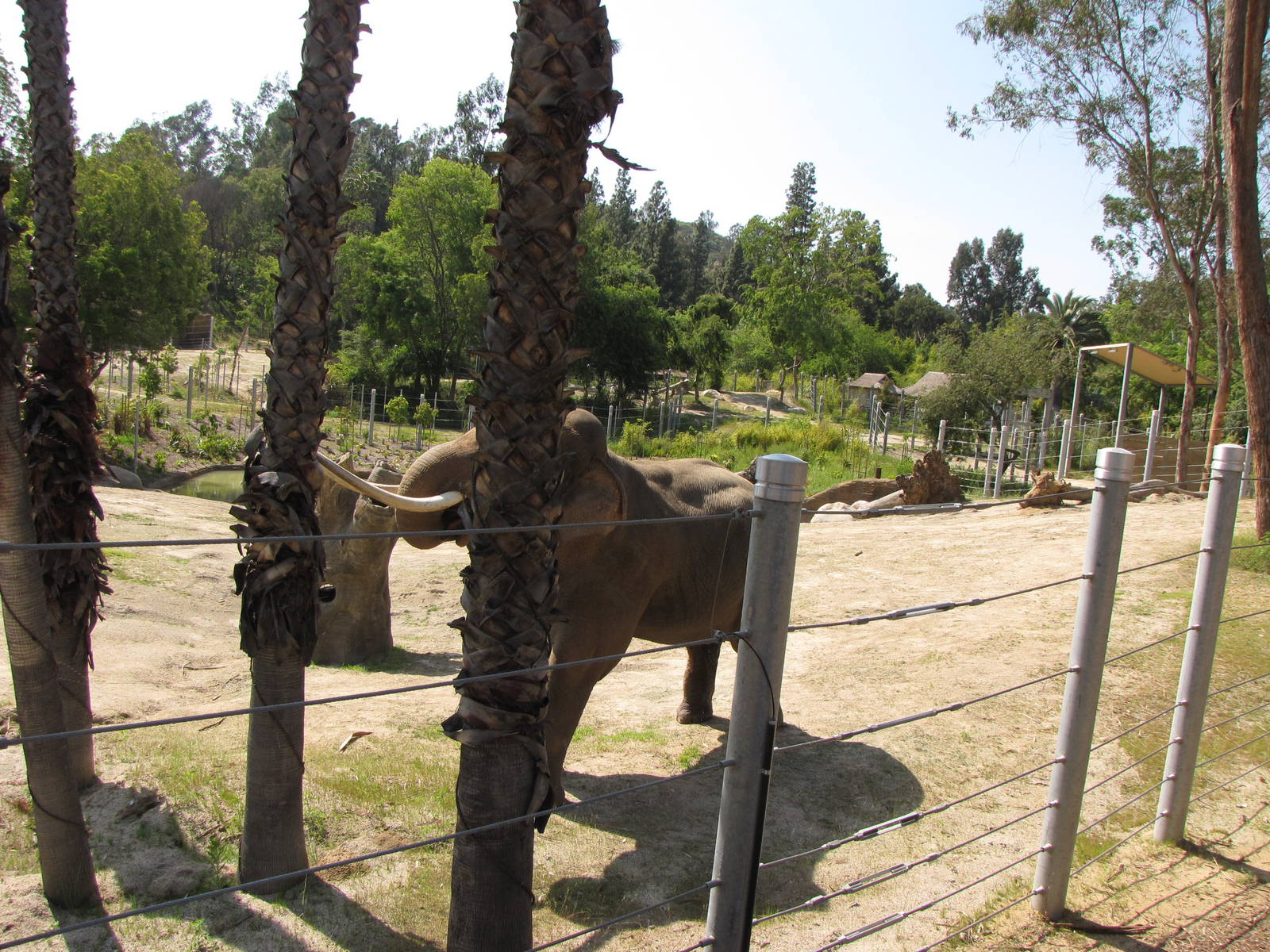 Billy Sparring With Palm Before Breaking Tusk