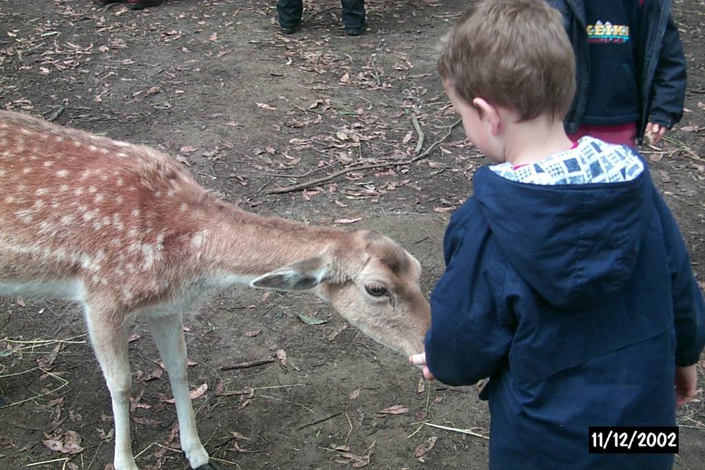 Bimbimbie Fauna Park - Mt Burnett VIC