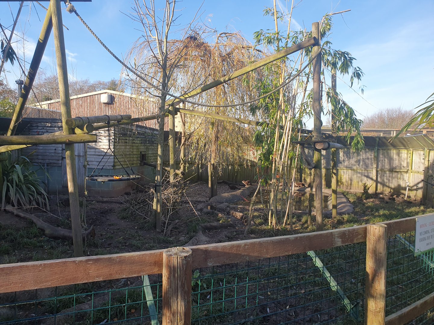 Binturong and ASCO enclosure 25/11/23