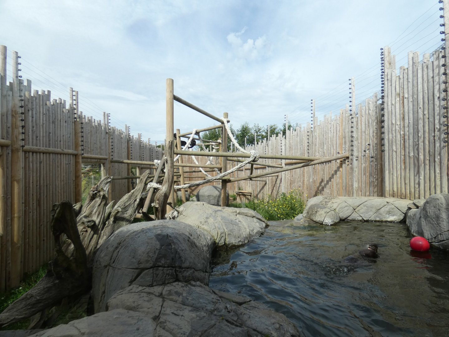 Binturong and Asian Short-clawed Otter enclosure