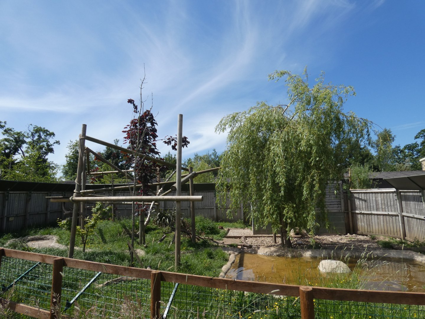 Binturong and Asian short-clawed otter enclosure