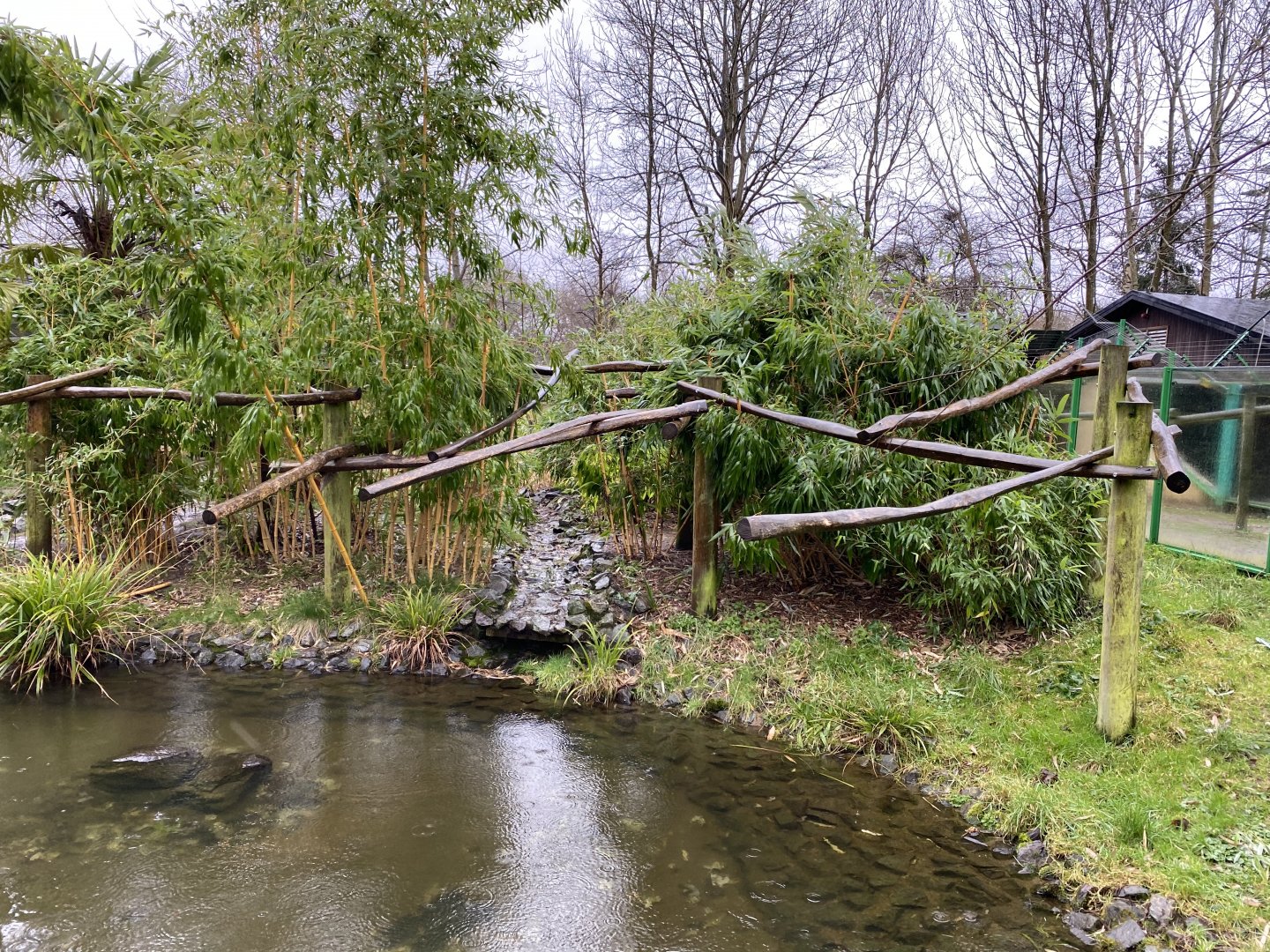 Binturong and Asian small-clawed otter enclosure 150220