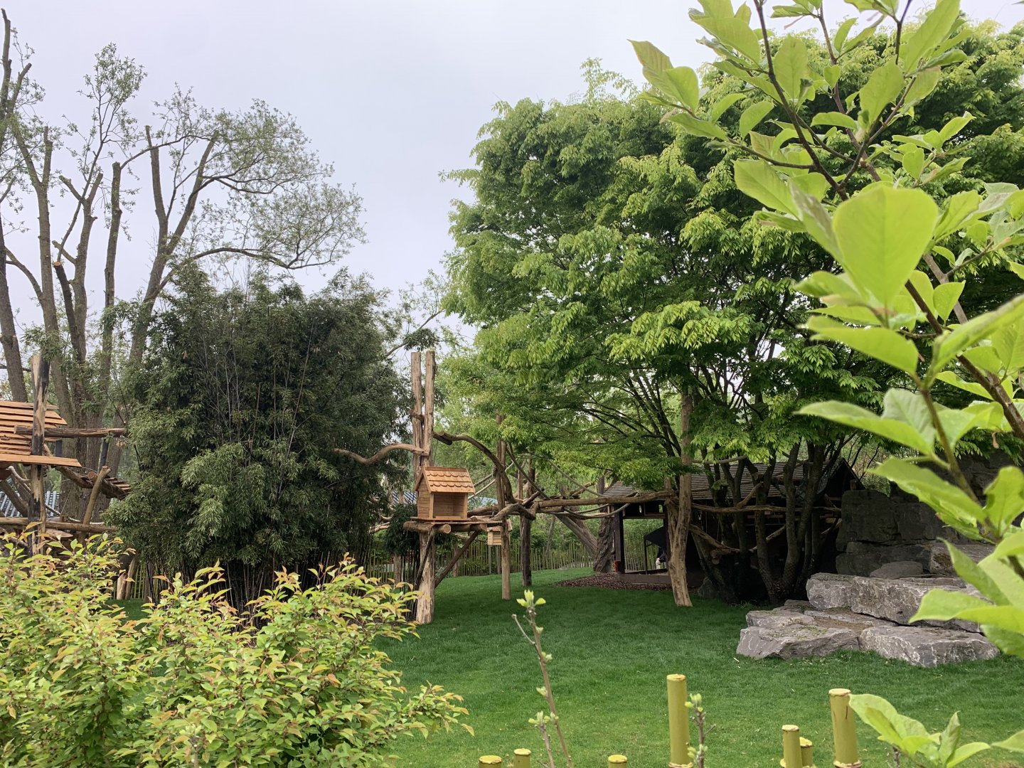Binturong and Bharal enclosure with new climbing frames
