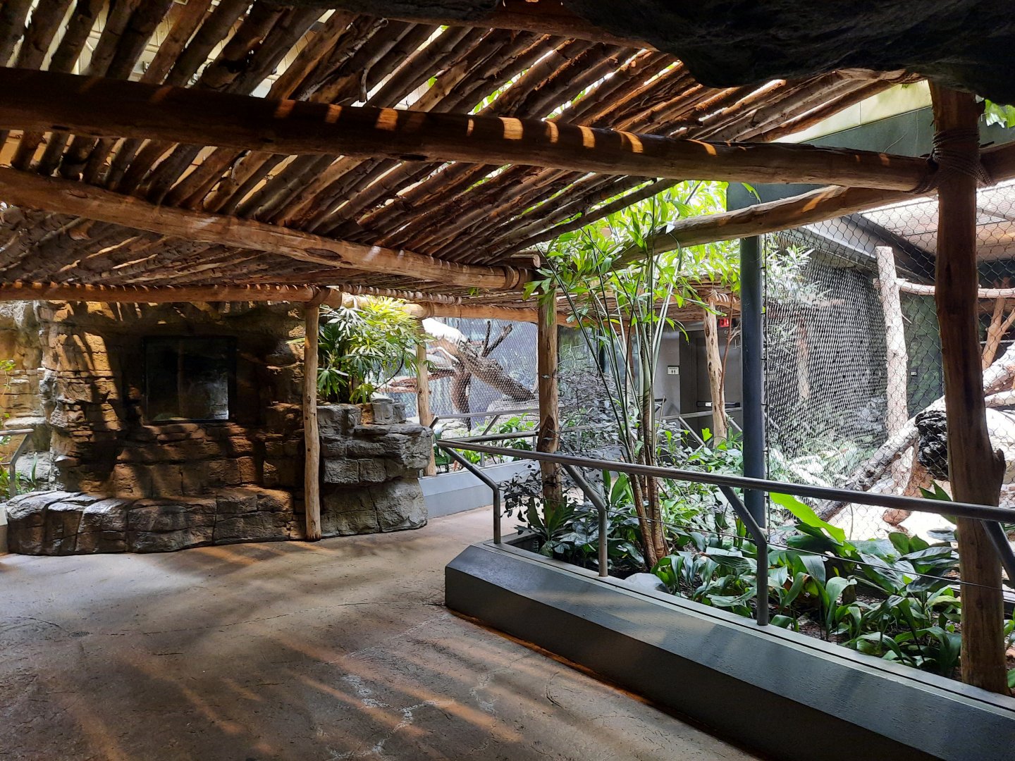 Binturong and Clouded Leopard exhibits