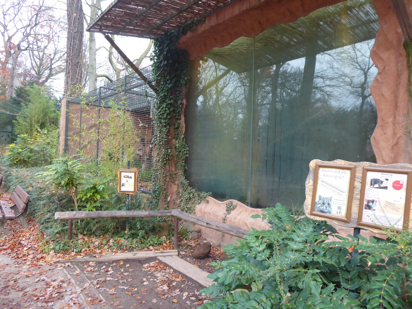 Binturong and Himalayan palm civet enclosures 021219