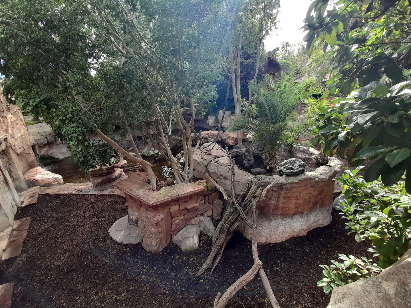 Binturong and Malayan Tapir - enclosure