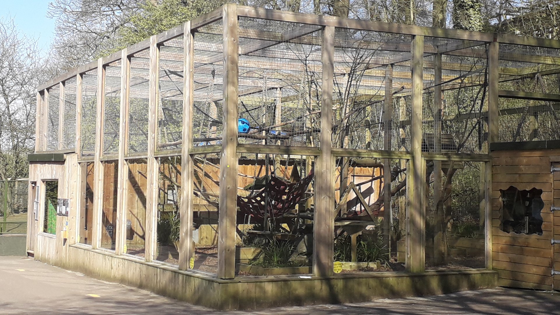 Binturong and Palm Civet Enclosure