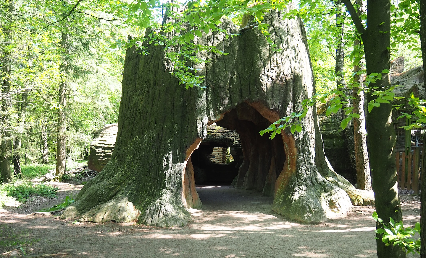 Binturong and Raccoon and skunk exhibits viewing area, 2023-05-19