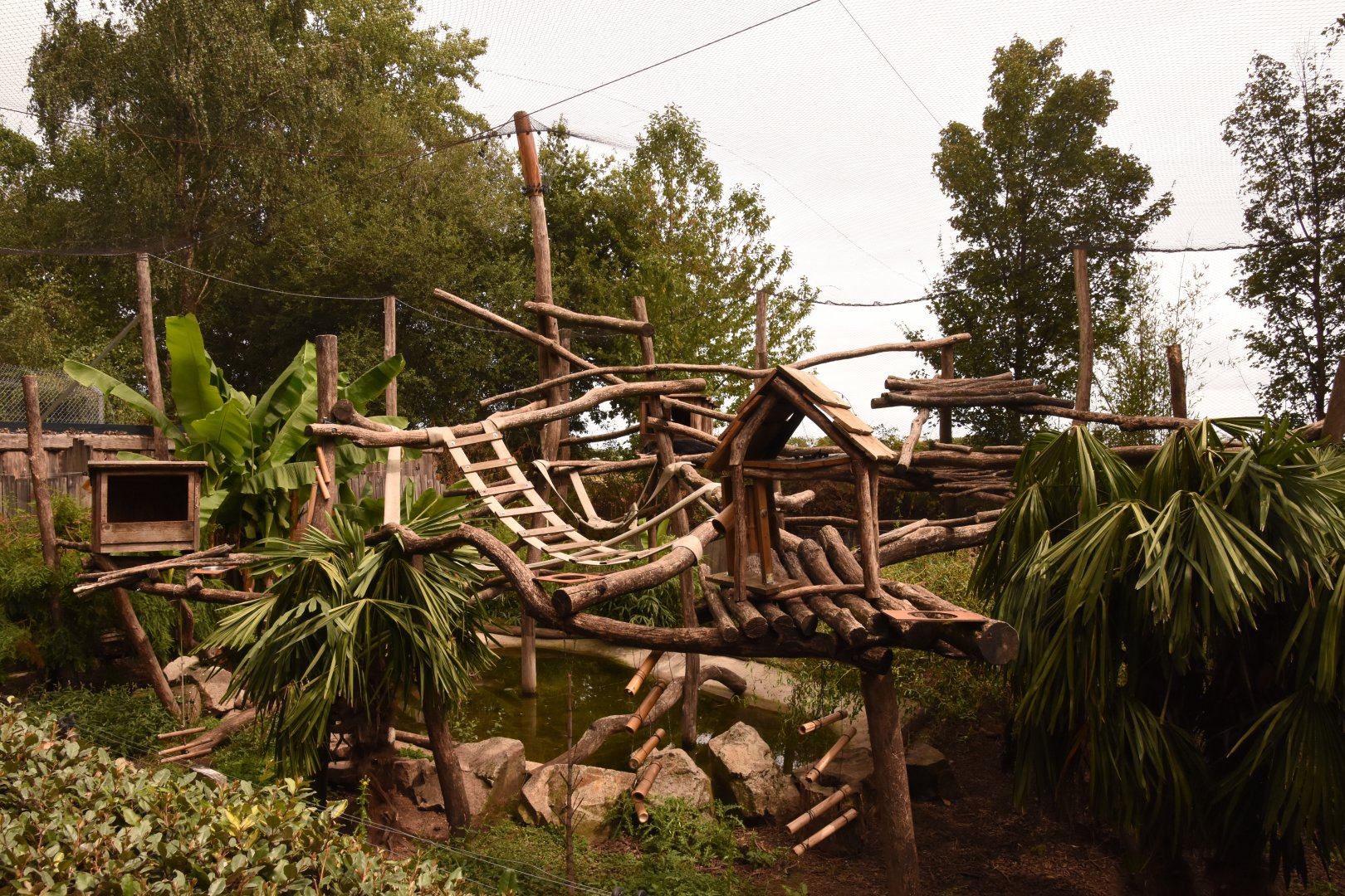 Binturong and Small-clawed Otter enclosure