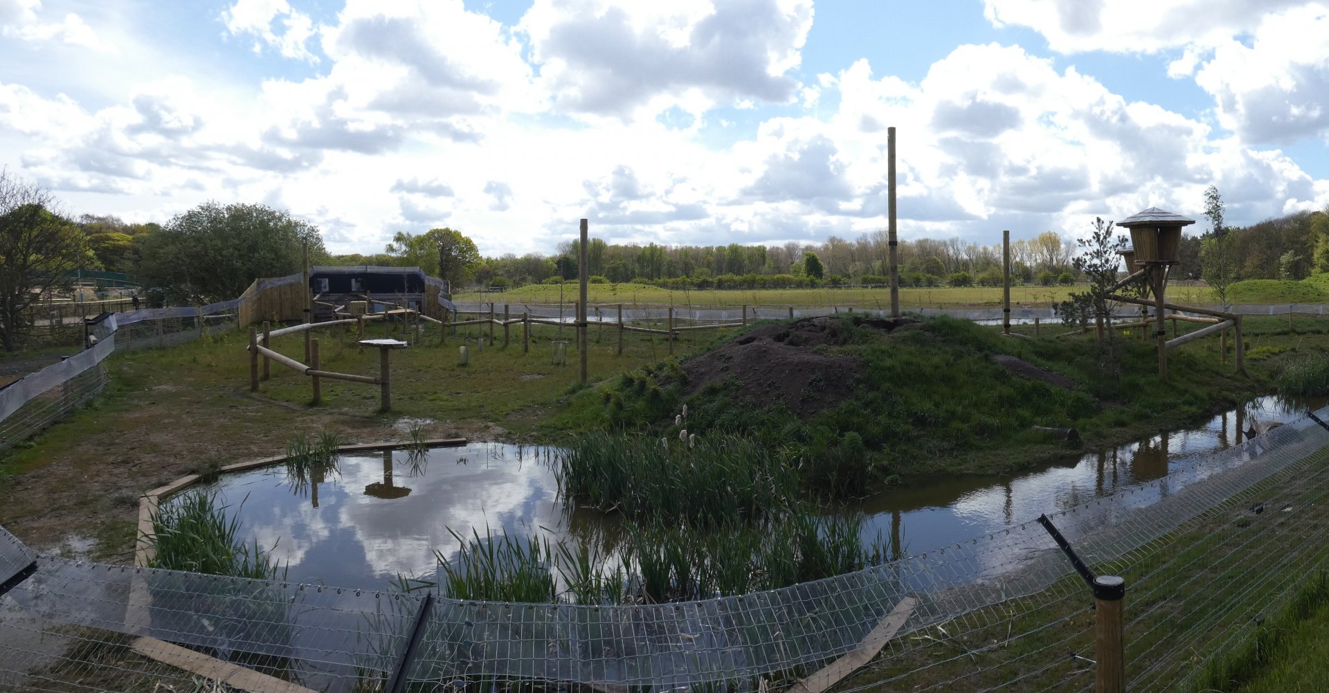 Binturong and Smooth-coated otter enclosure
