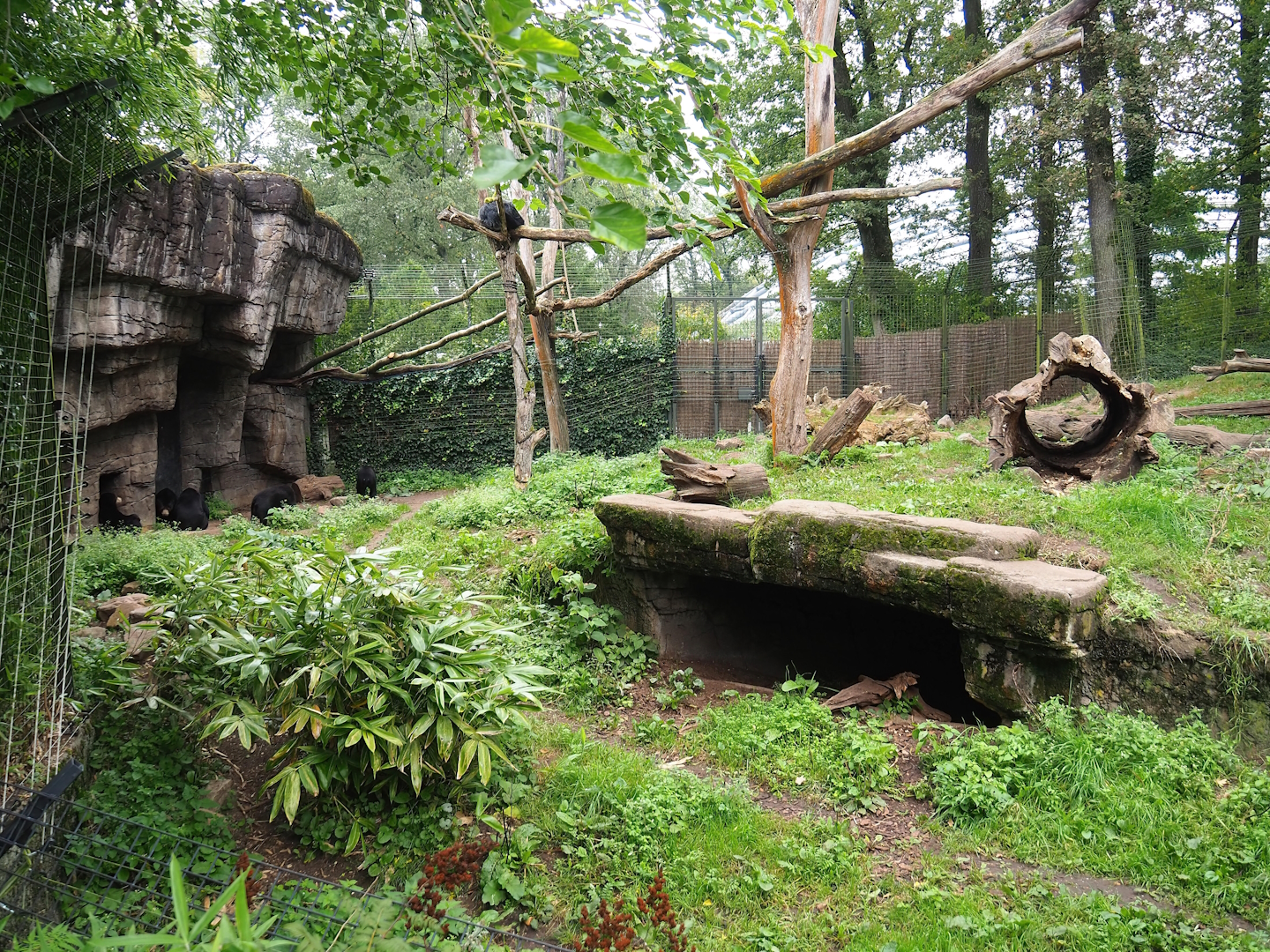 Binturong and Sun bear exhibit, 2023-10-07