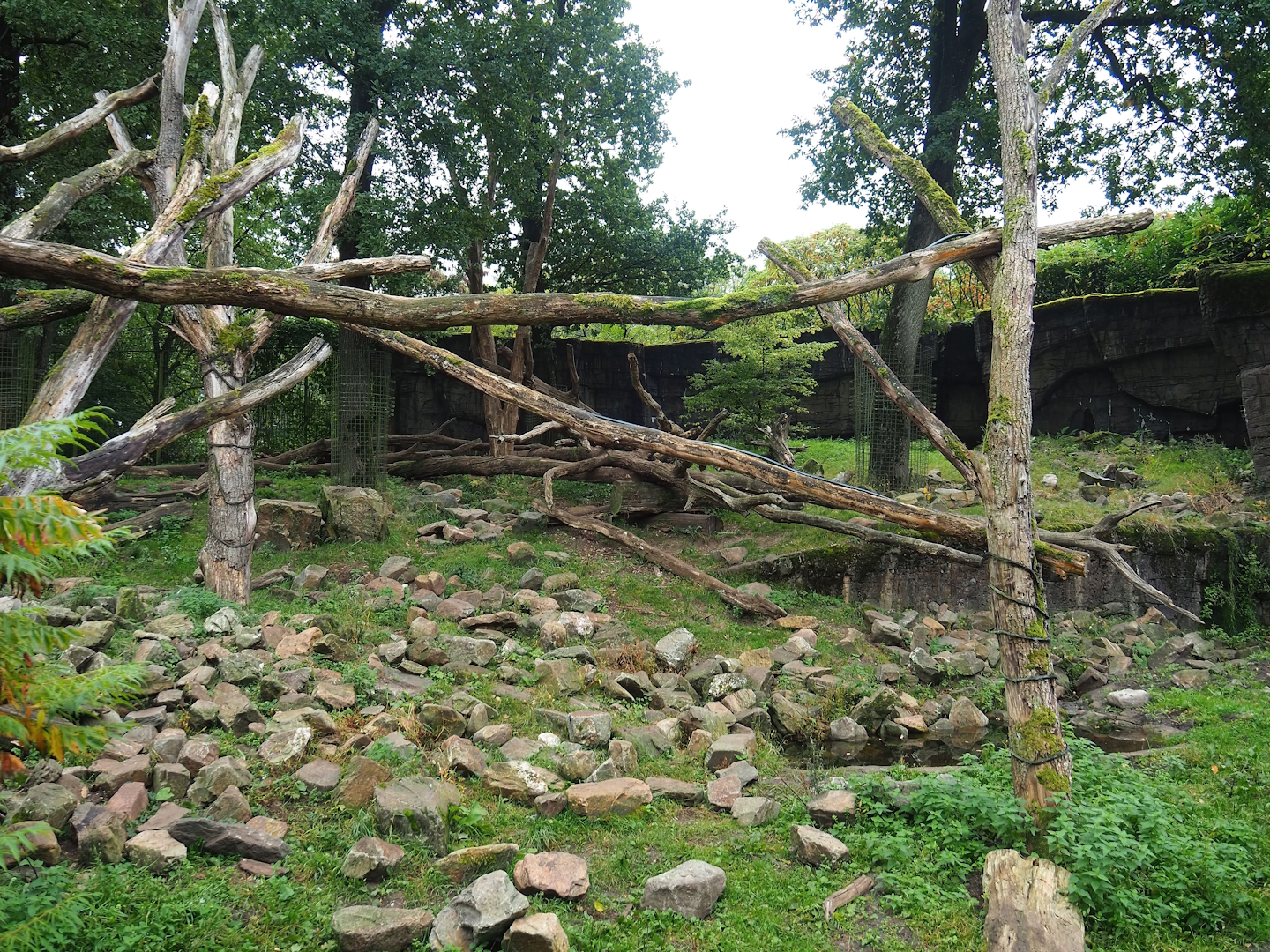 Binturong and Sun bear exhibit, 2023-10-07