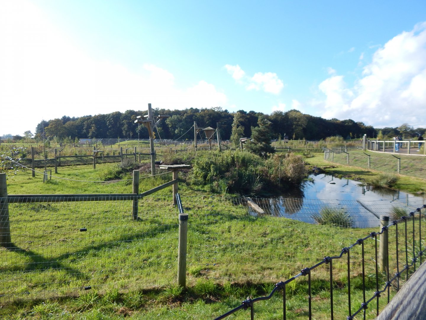Binturong ans Indochinese smooth-coated otter habitat 121024